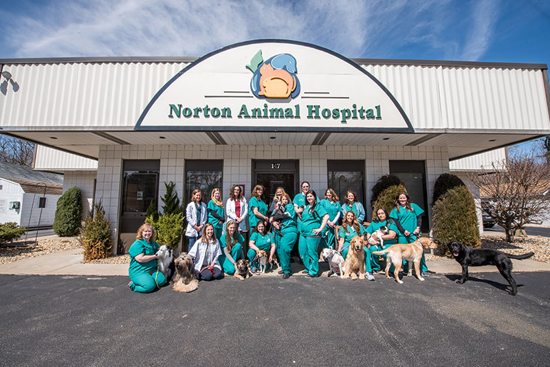 veterinary hospital in Norton